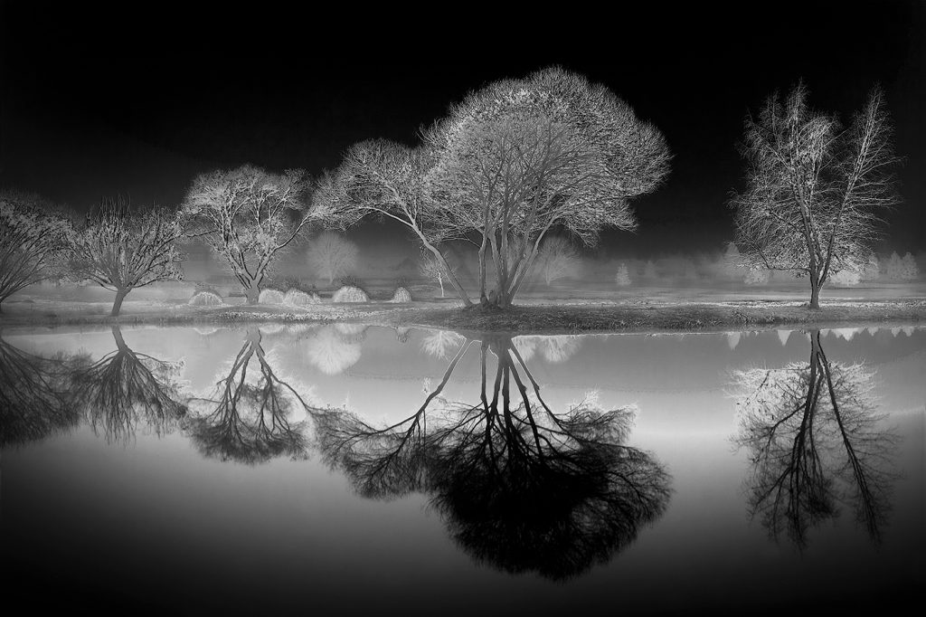Pond Reflection - Howard Hunt